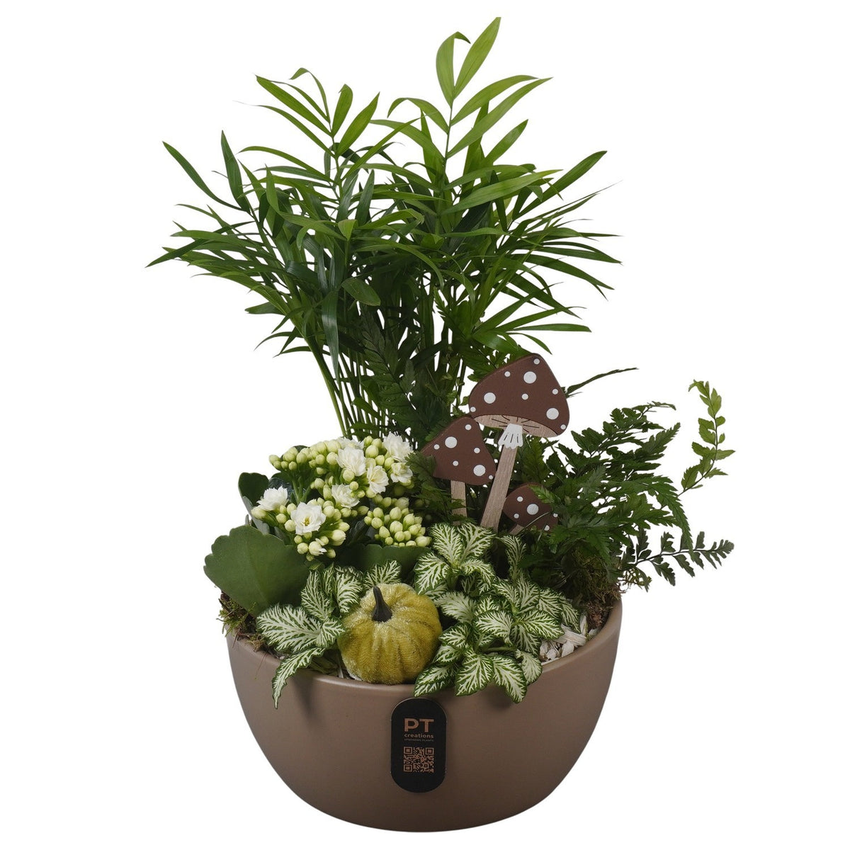 Indoor arrangement 35cm 18cm Pot