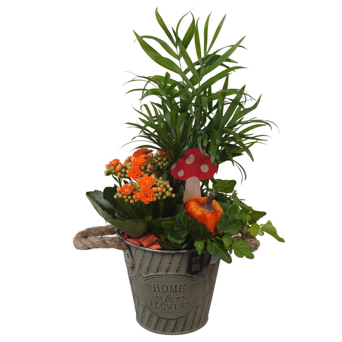 Indoor arrangement 32cm 12cm Pot