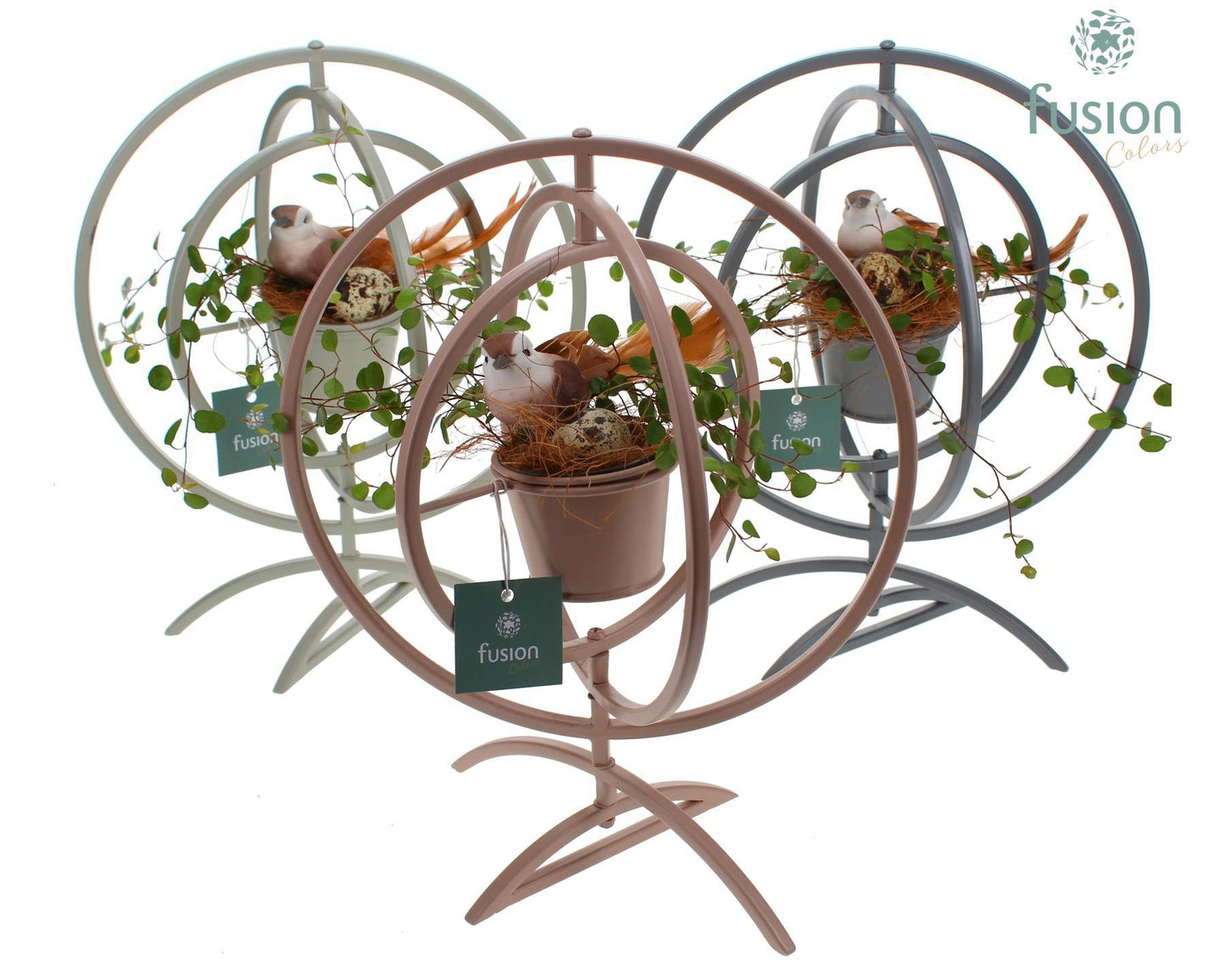 Fusioncolors BV Metaal Globe metaal 3 kleuren Large met Muehlenbeckia Pack of 4