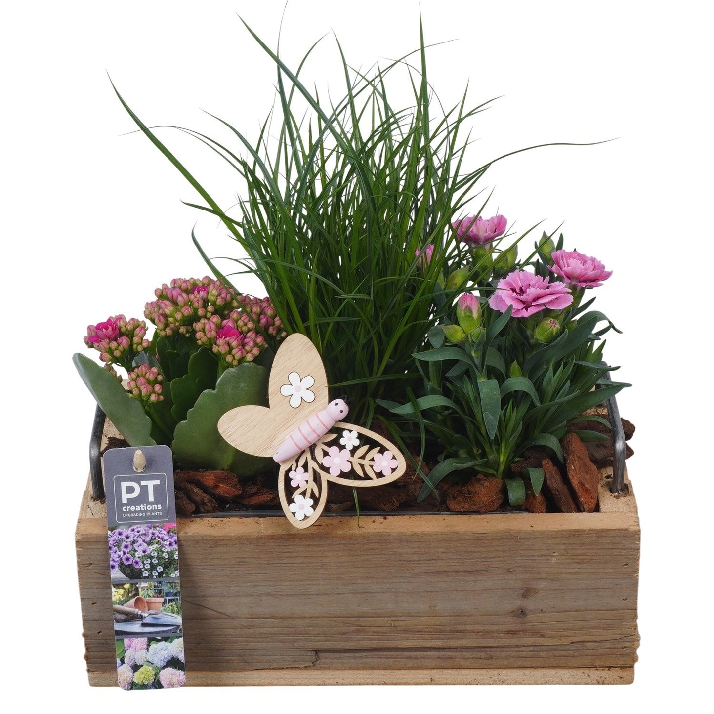 Outdoor arrangement 27cm 25cm Pot
