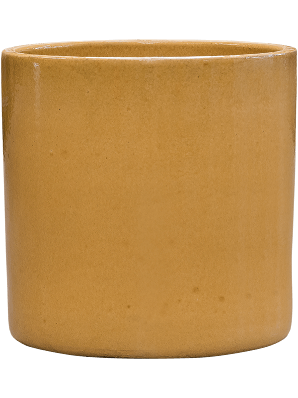 Cylinder Plant Pot 40cm Height 35cm Dia Pot Honey