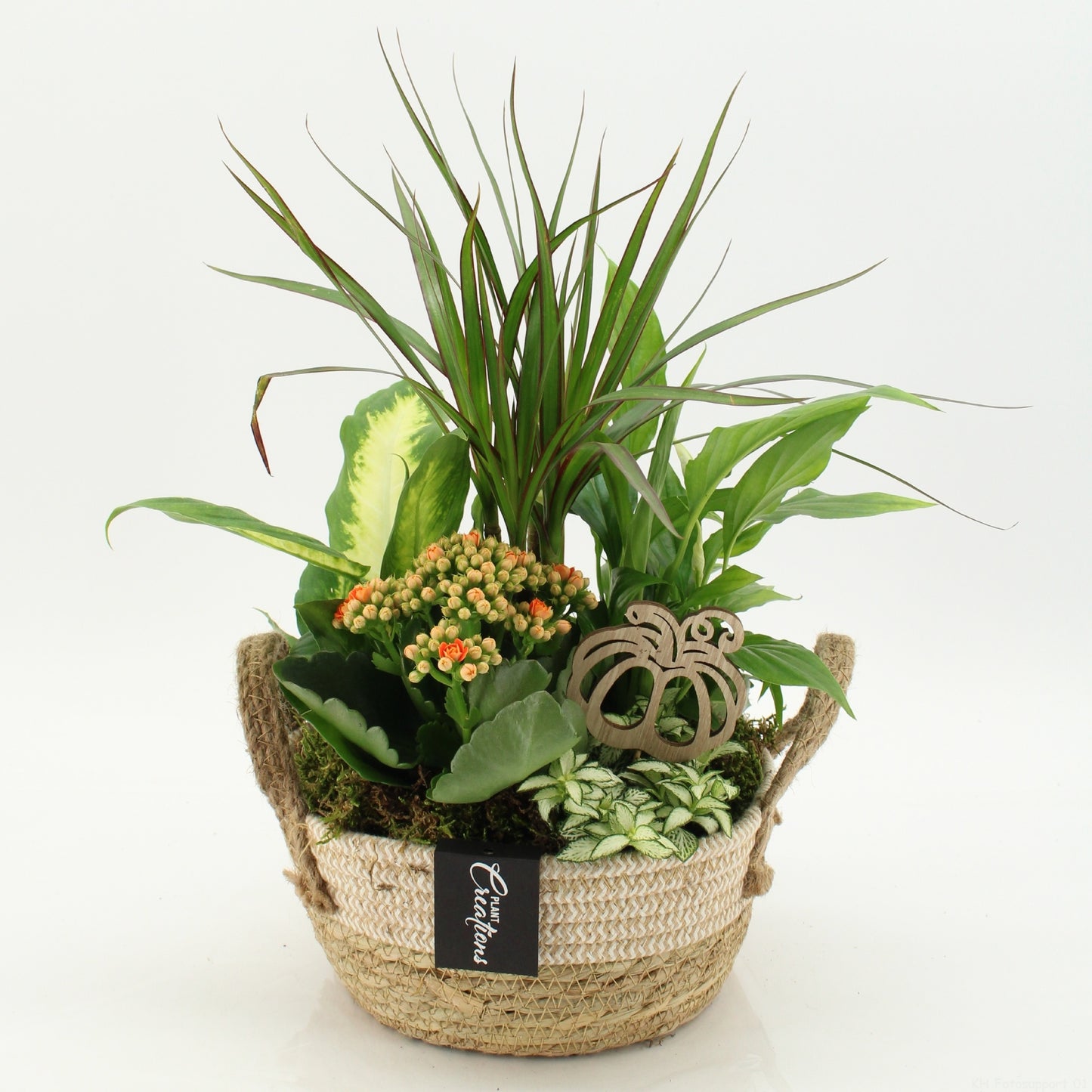 BHCR-2620 Autumn Fundamentals 45cm 21cm Pot