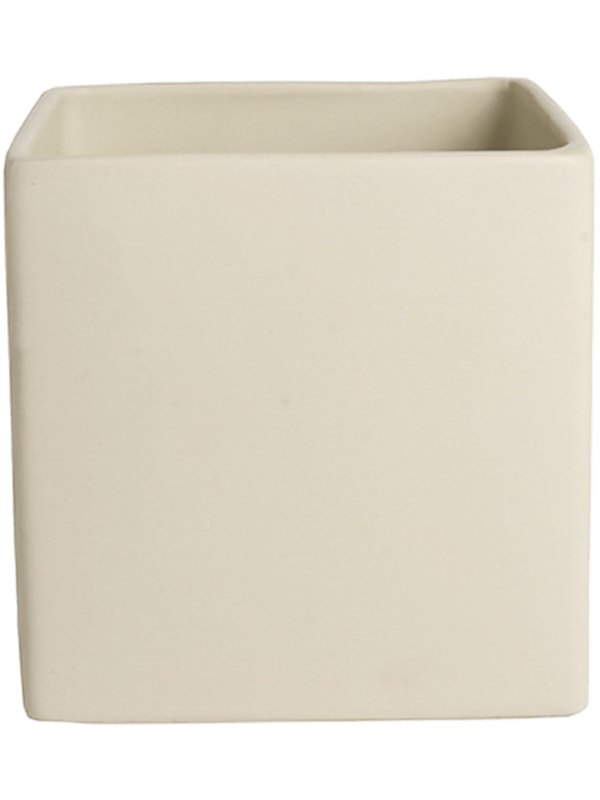 Basic Plant Pot 7cm Height 6cm Dia Square Minipot Cream