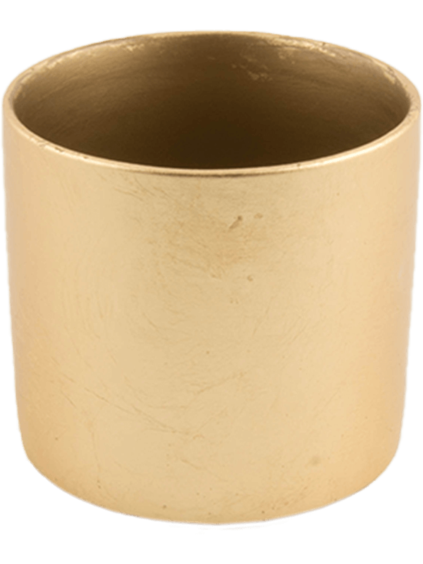 Basic Plant Pot 10cm Height 8cm Dia Cylinder Minipot Gold