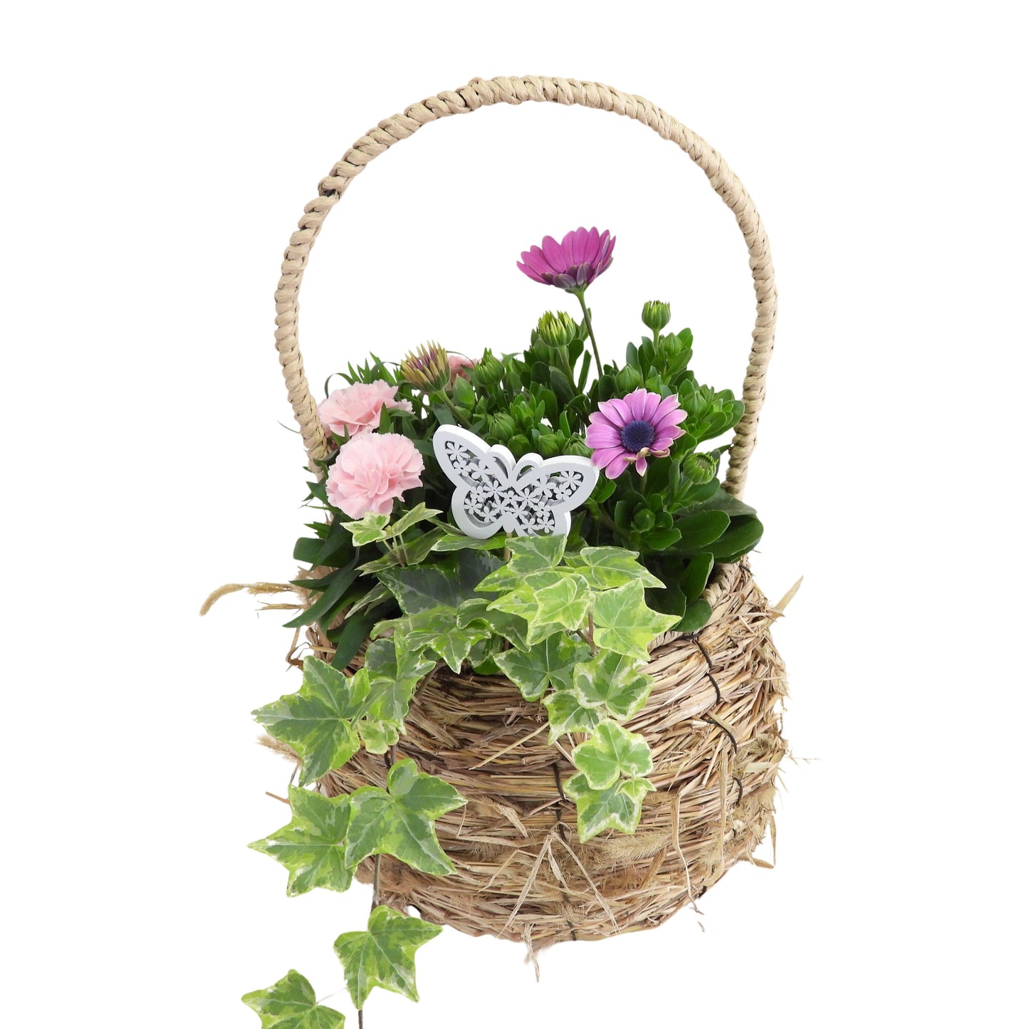 Outdoor arrangement 35cm 19cm Pot