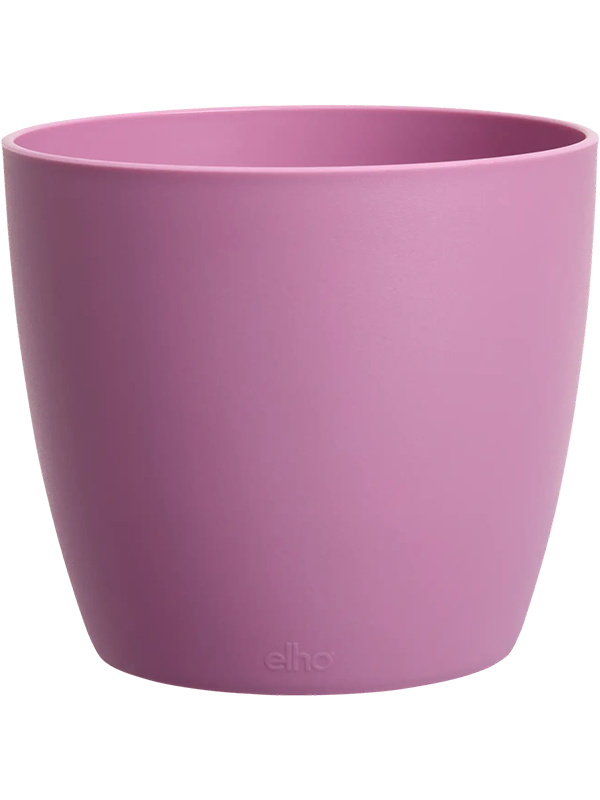Brussels Plant Pot 6cm Dia Round Mini Vivid Violet