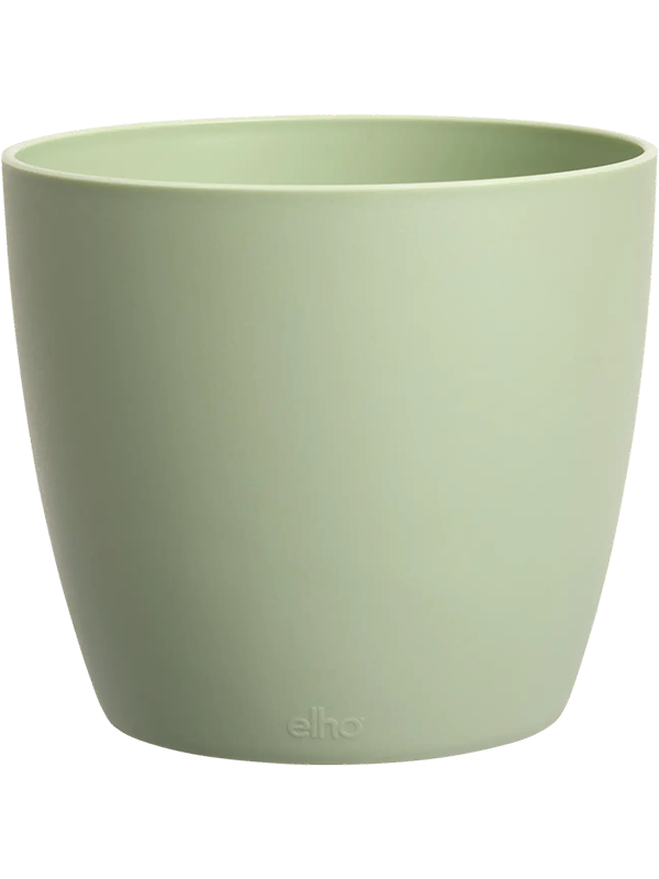 Brussels Plant Pot 9cm Dia Round Mini Sorbet Green