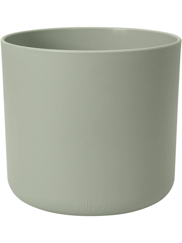 B. For Soft Plant Pot 15cm Height 15.5cm Dia Round Stone Green
