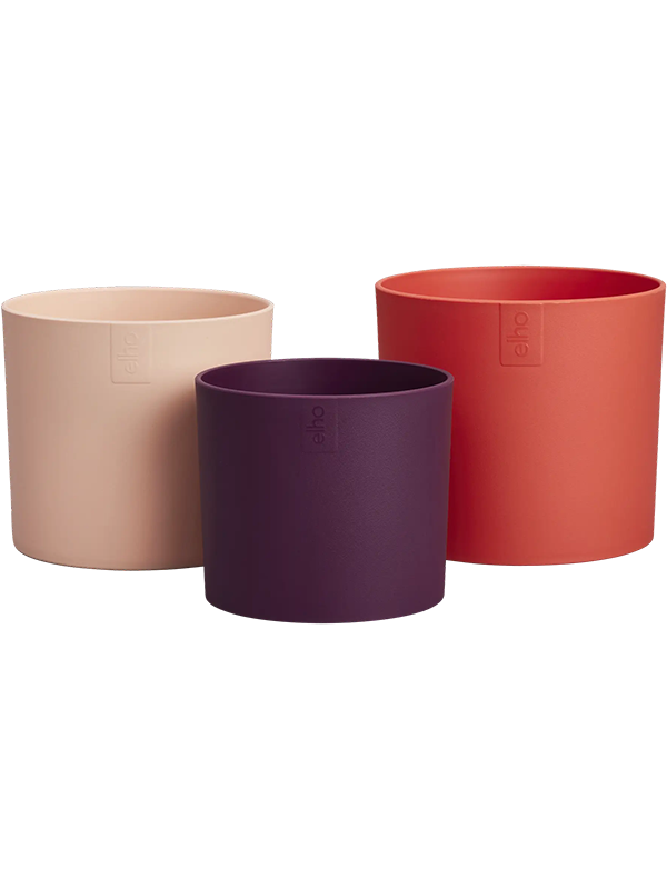 Lex Pott Plant Pot 12cm Dia Flowerpot Coral Red Multicolor (set of 3)