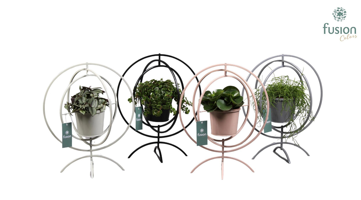Metaal Globe metaal 4 kleuren Large met Groene Planten 35cm 30cm Pot