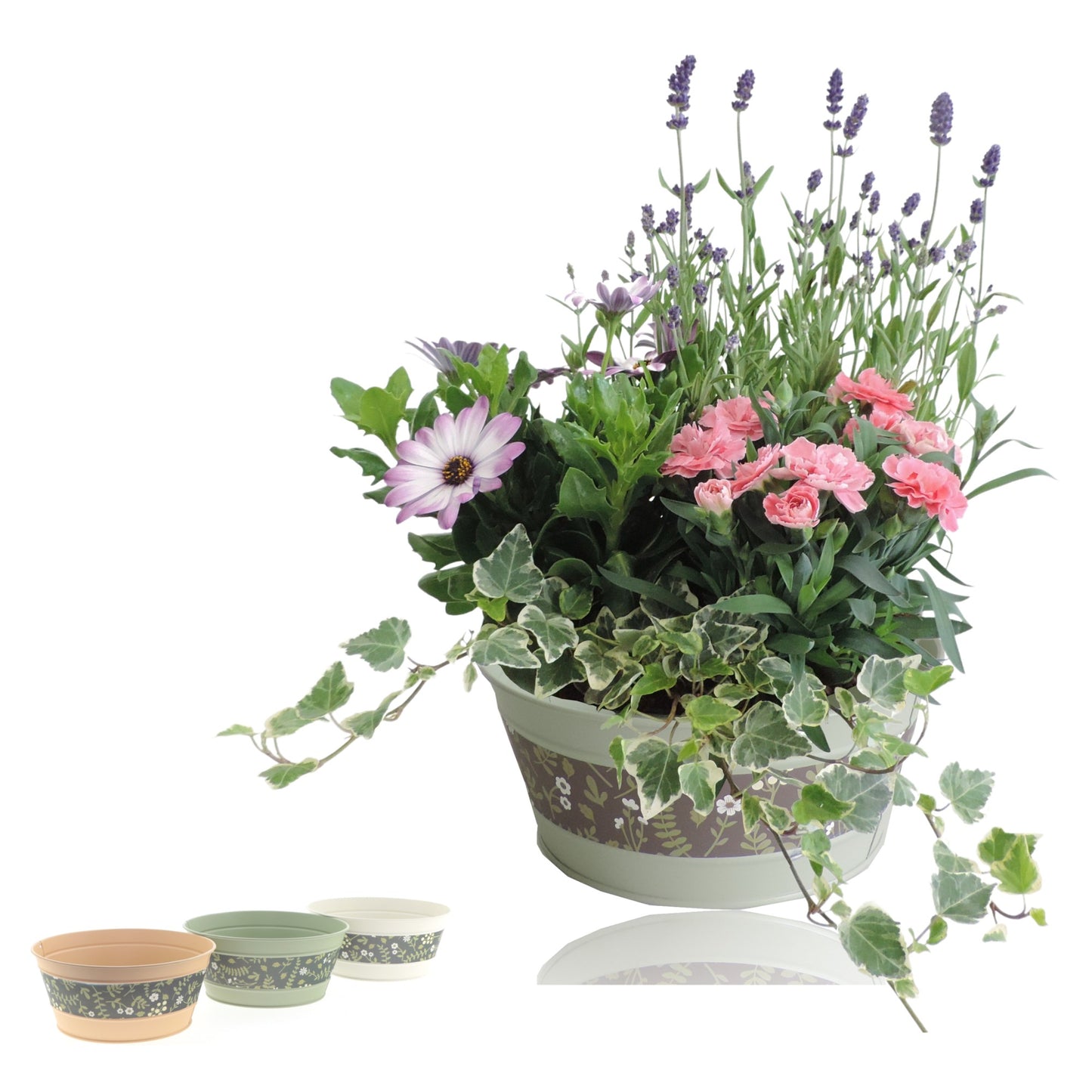 Outdoor arrangement 30cm 21cm Pot