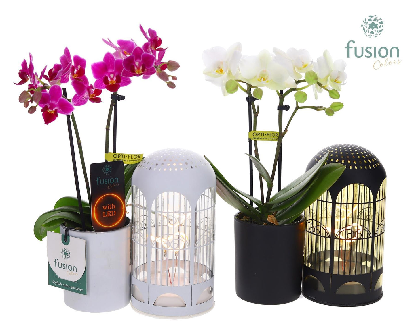 Fusioncolors BV Zinken LED Lichtbal Vogels glazen planter met Phalaenopsis Pack of 6