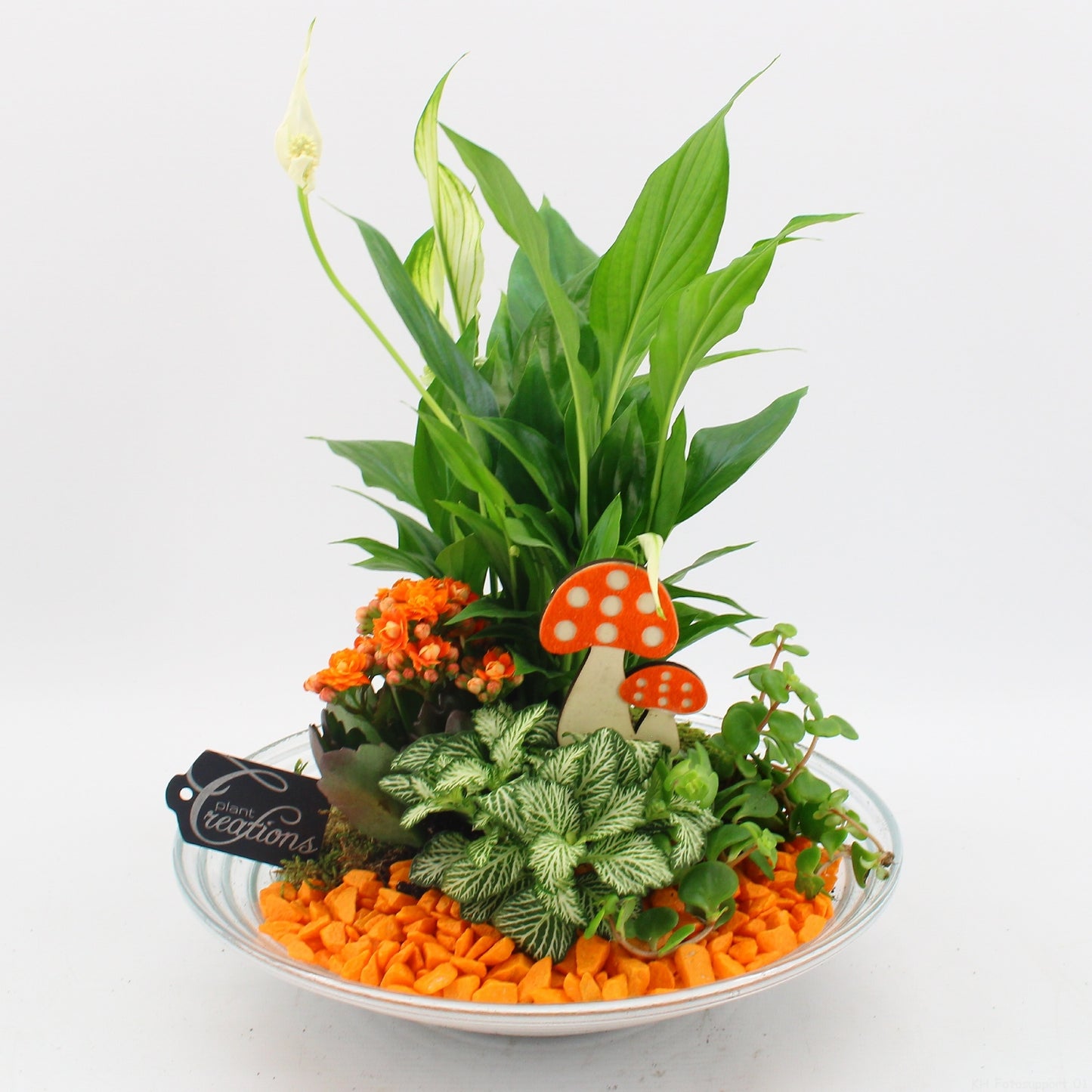 BHCR-2603 Autumn Fundamentals 35cm 30cm Pot