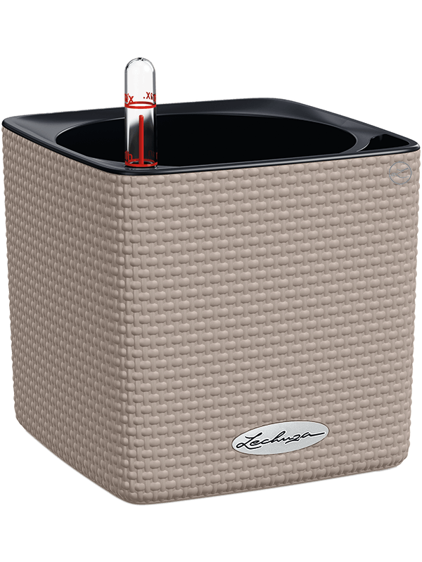 Lechuza Cube Color 14 Plant Pot 14cm Height 12cm Dia All Inclusive Set Sand Brown