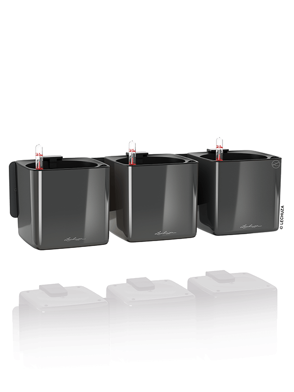 Lechuza Cube green wall home kit color Plant Pot 14cm Height 12cm Dia All Inclusive Set Anthracite High-gloss