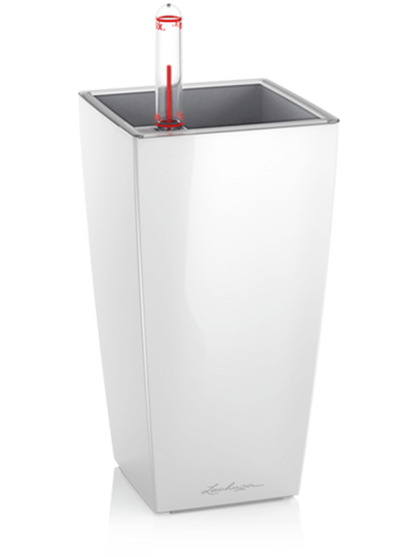 Lechuza Mini-Cubi (8/doos) Plant Pot 18cm Height 8cm Dia All inclusive set white high-gloss