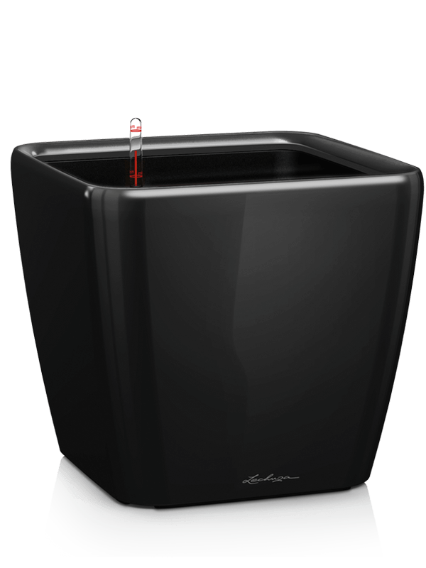 Lechuza Premium Quadro LS 21 Plant Pot 20cm Height 18cm Dia All Inclusive Set Black High Gloss