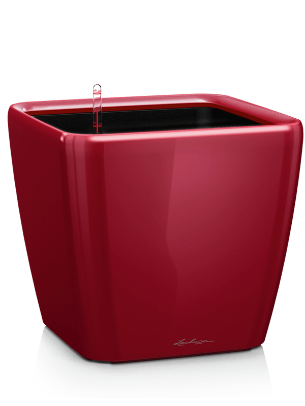 Lechuza Premium Quadro LS 35 Plant Pot 33cm Height 29cm Dia All Inclusive Set Scarlet Red High-gloss