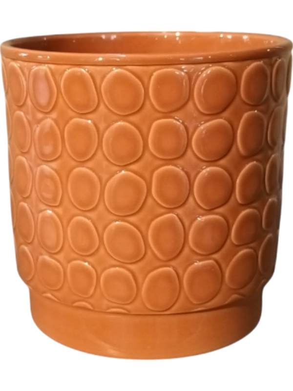 Eno Pebble Plant Pot 16cm Height 15cm Dia Pot Shiny Terra