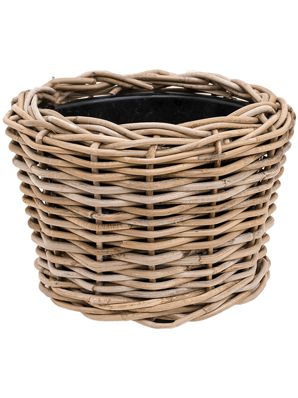 Drypot Rattan Plant Pot 20cm Height 19cm Dia Round grey