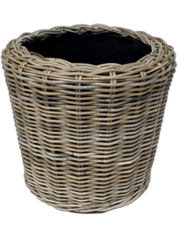 Drypot Rattan Plant Pot 30cm Height 27cm Dia Round Grey