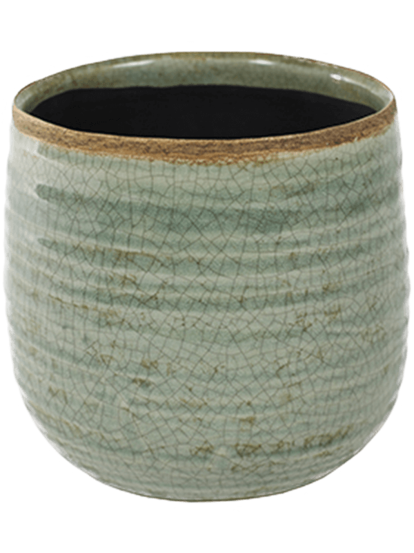 Iris Plant Pot 14cm Height 12.5cm Dia Pot Mint