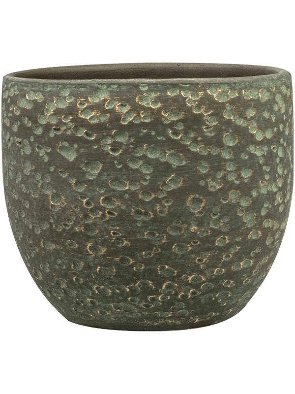 Rinca Plant Pot 13cm Height 12cm Dia Pot Shiny Green