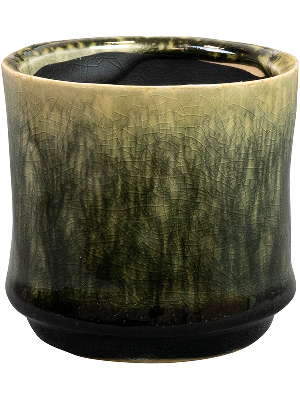 Nolan Plant Pot 7cm Height 6cm Dia Pot Pine