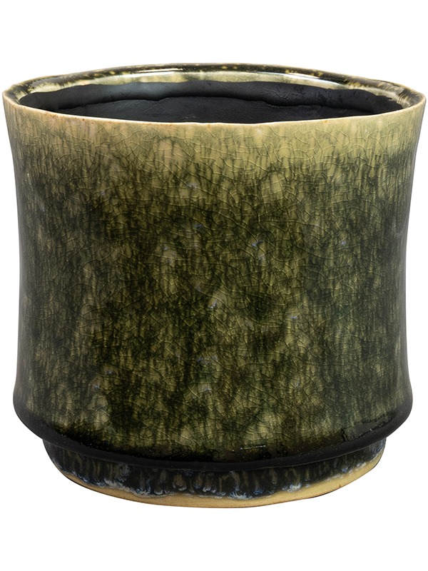 Nolan Plant Pot 12cm Height 12cm Dia Pot Pine