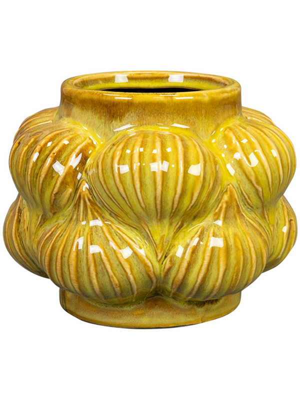 Sanah Plant Pot 11cm Height 6cm Dia Pot Mustard