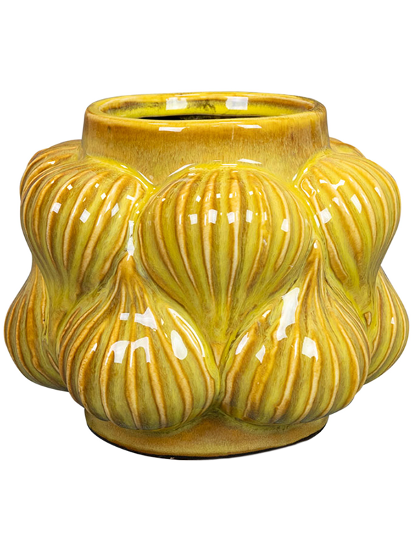 Sanah Plant Pot 13cm Height 7cm Dia Pot Mustard