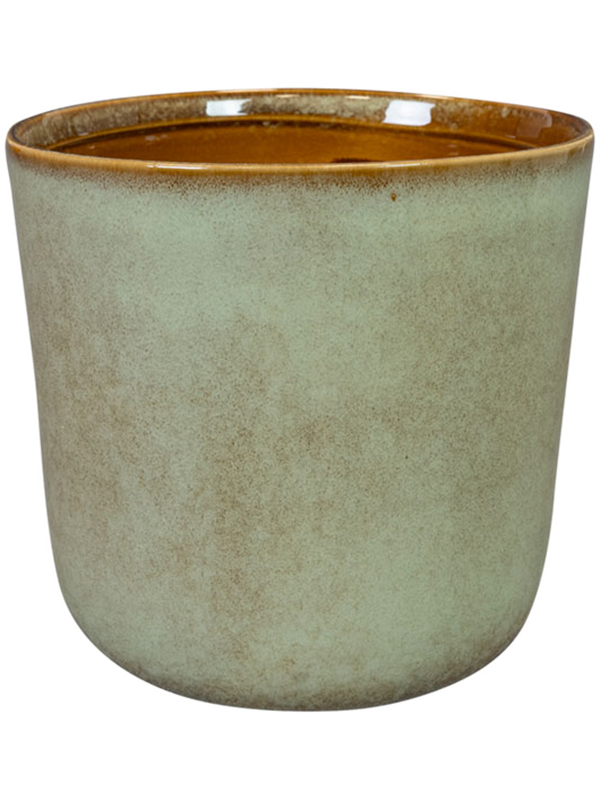 Hedy Plant Pot 12cm Height 9cm Dia Pot Thyme