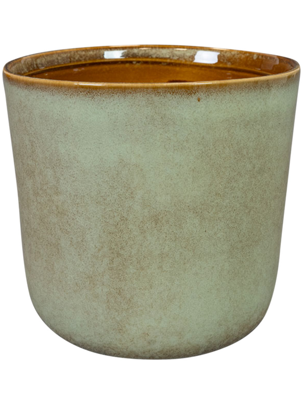 Hedy Plant Pot 13cm Height 11cm Dia Pot Thyme