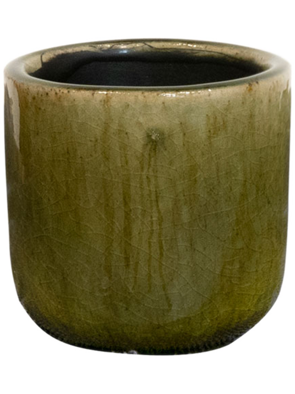 Nine Plant Pot 7cm Height 5cm Dia Pot Olive Green
