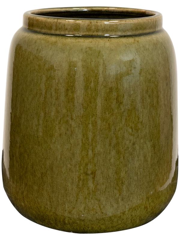Nine Plant Pot 23cm Height 9cm Dia Pot Tall Olive Green