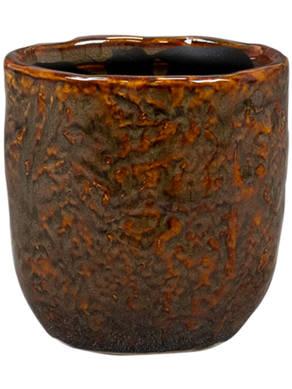 Brian Plant Pot 7cm Height 5cm Dia Pot Desert