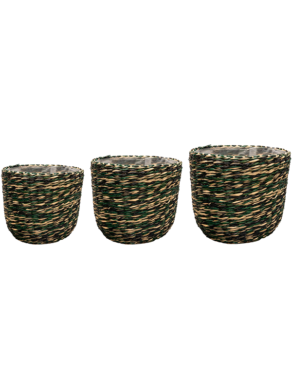 Viviana Plant Pot 27cm Dia Pot Jungle (set of 3)