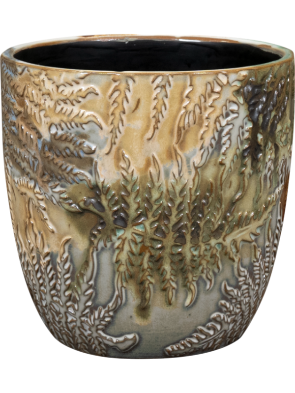 Fern Plant Pot 12cm Height 11cm Dia Pot Camouflage