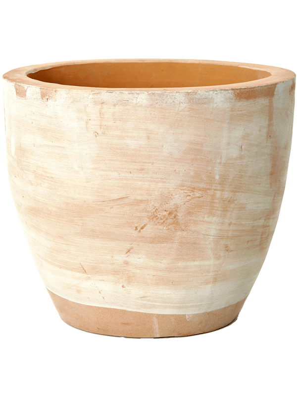 Terra Cotta Plant Pot 26cm Height 24cm Dia Couple Extra