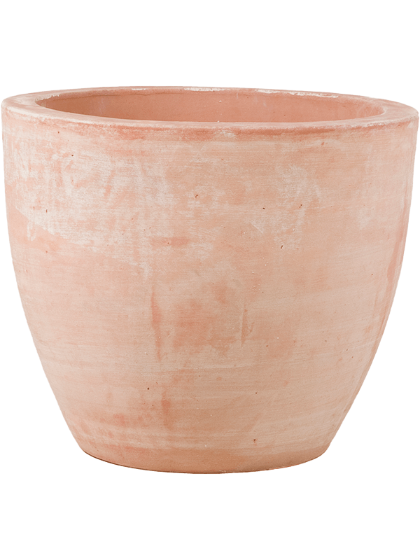 Terra Cotta Plant Pot 33cm Height 32cm Dia Couple Extra