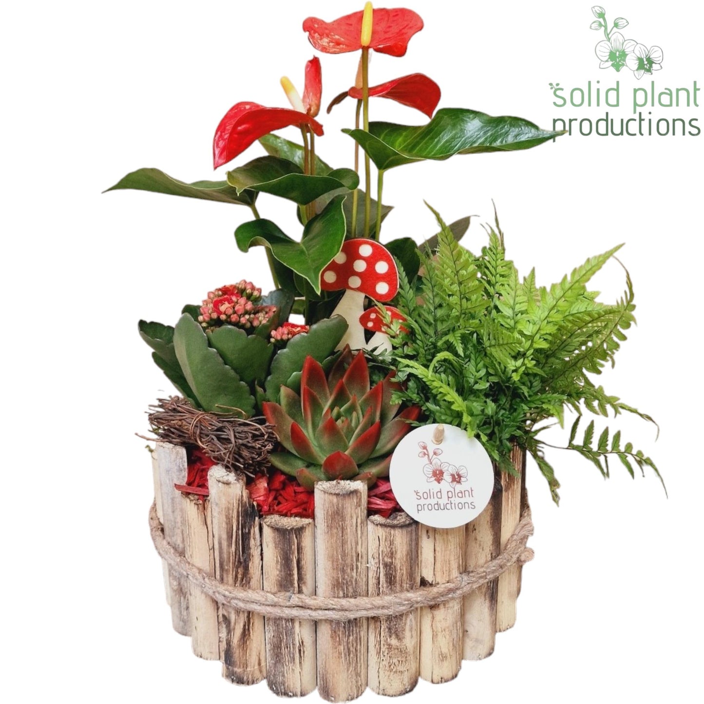 HAE002 Milano Large Autumn Red 40cm 23cm Pot