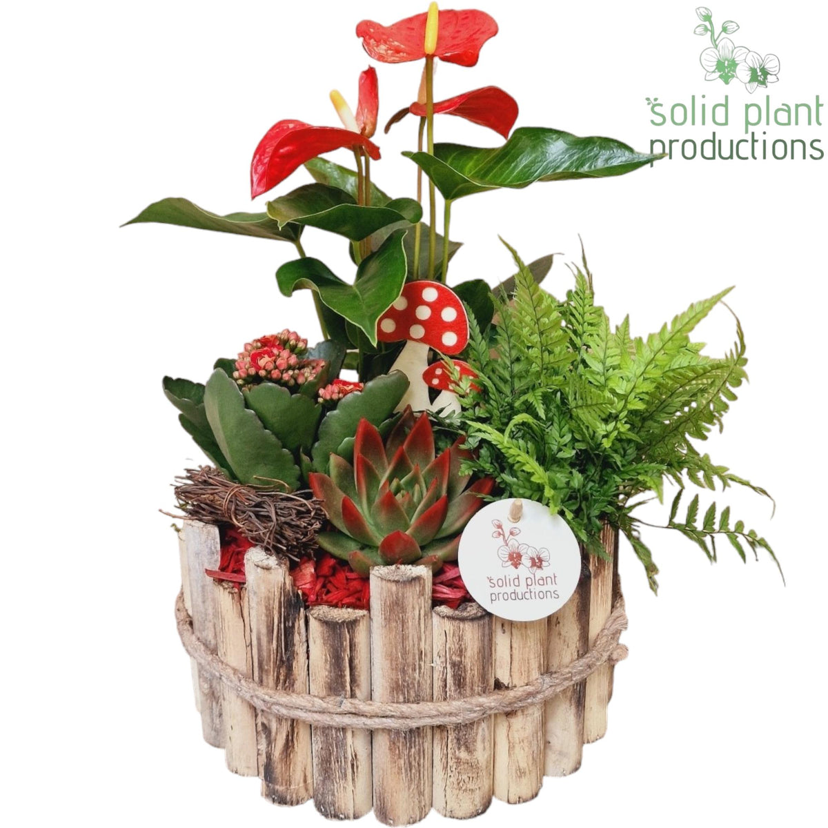 HAE002 Milano Large Autumn Red 40cm 23cm Pot