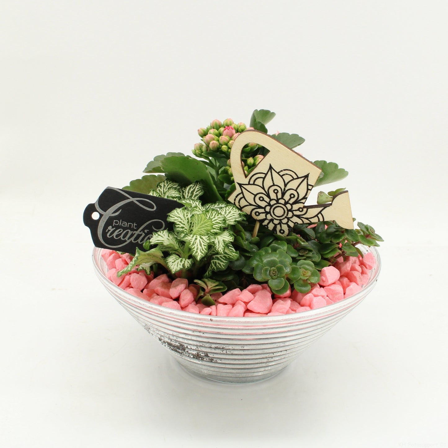 FDCR-2601RZ Basic Fundamentals 20cm 20cm Pot