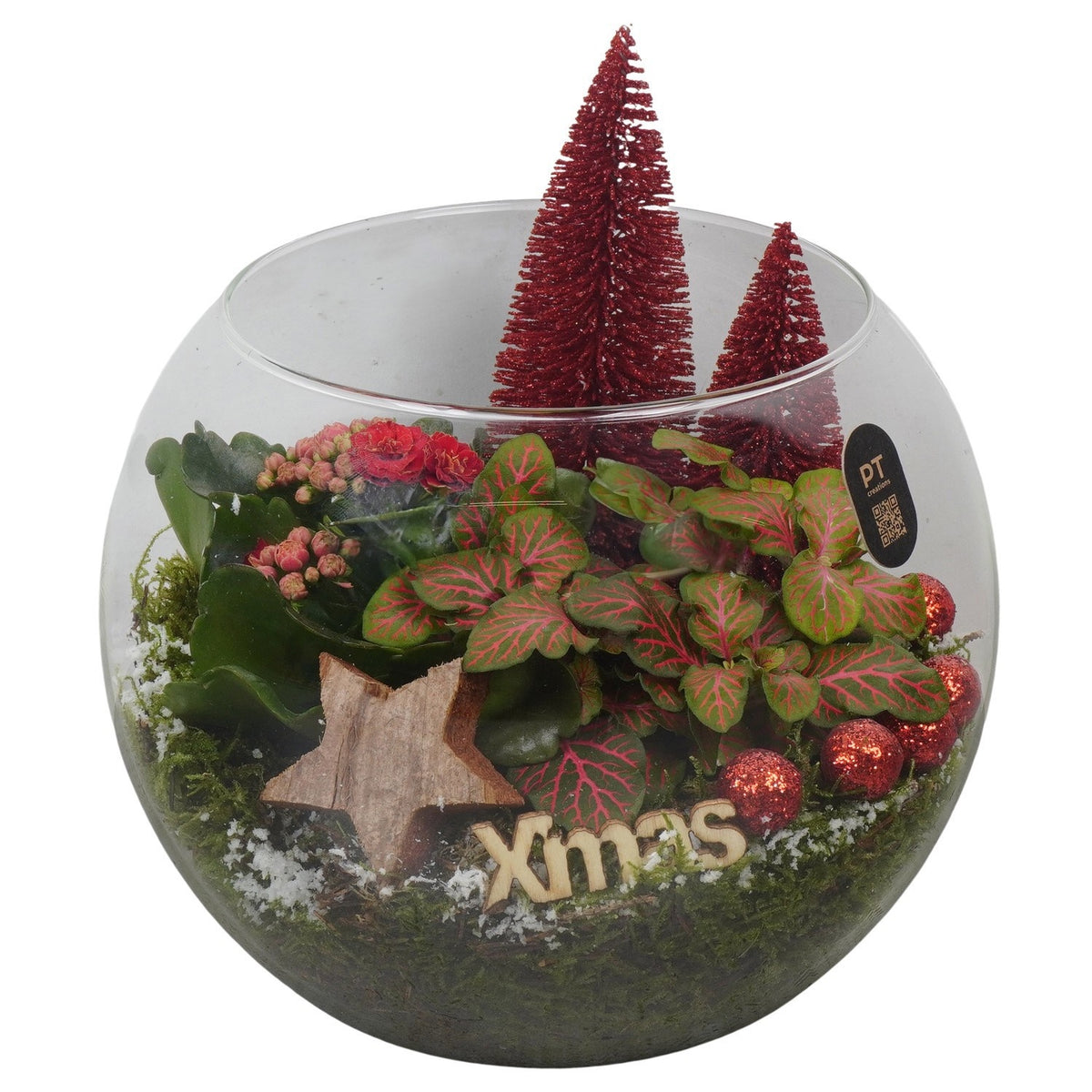 Christmas arrangement 19cm 19cm Pot