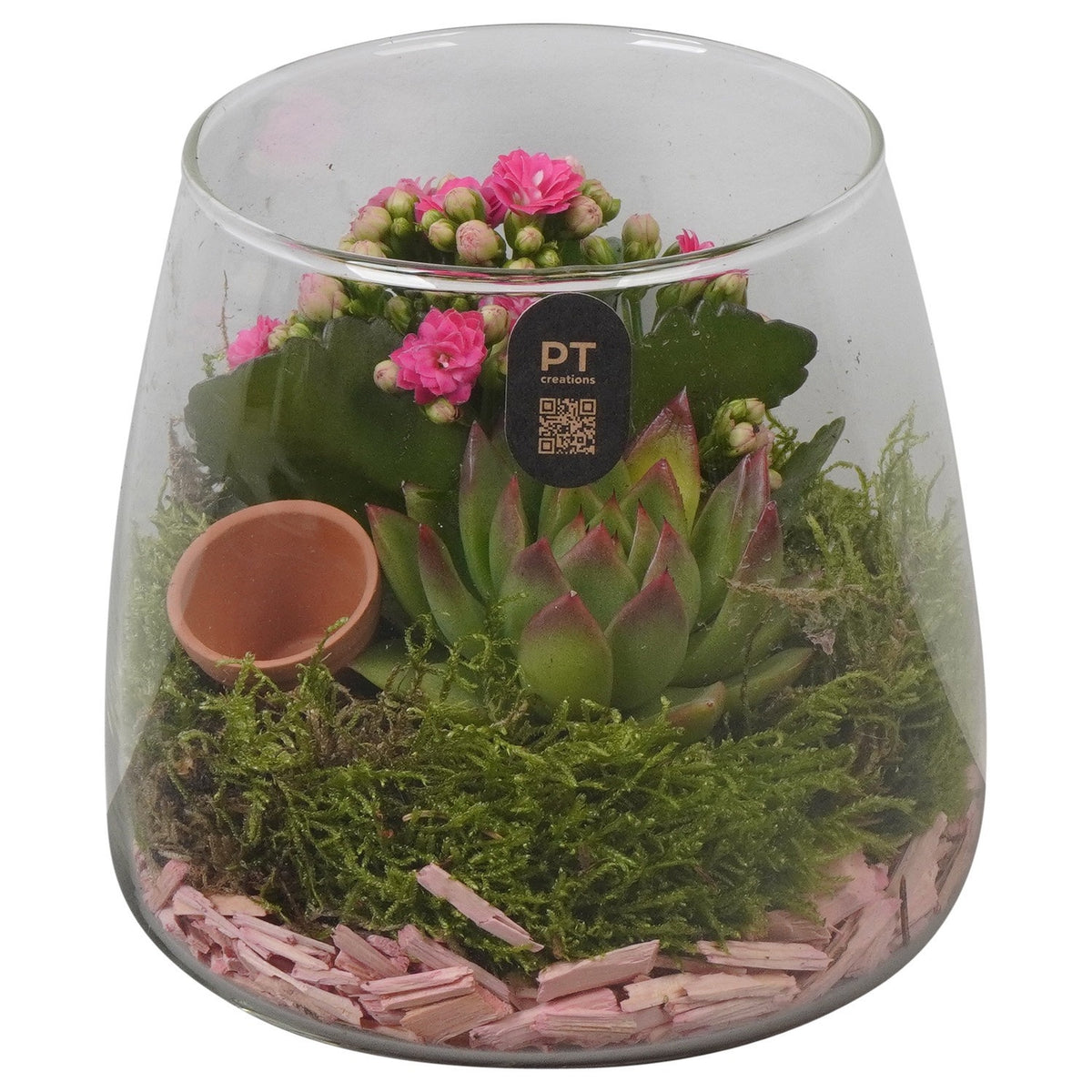 Indoor arrangement 15cm 14cm Pot