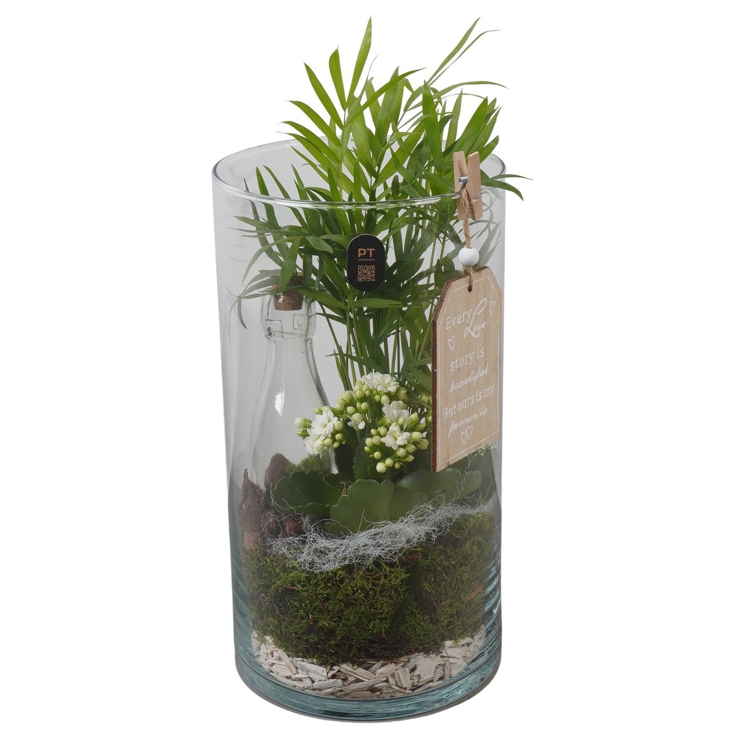 Indoor arrangement 37cm 16cm Pot