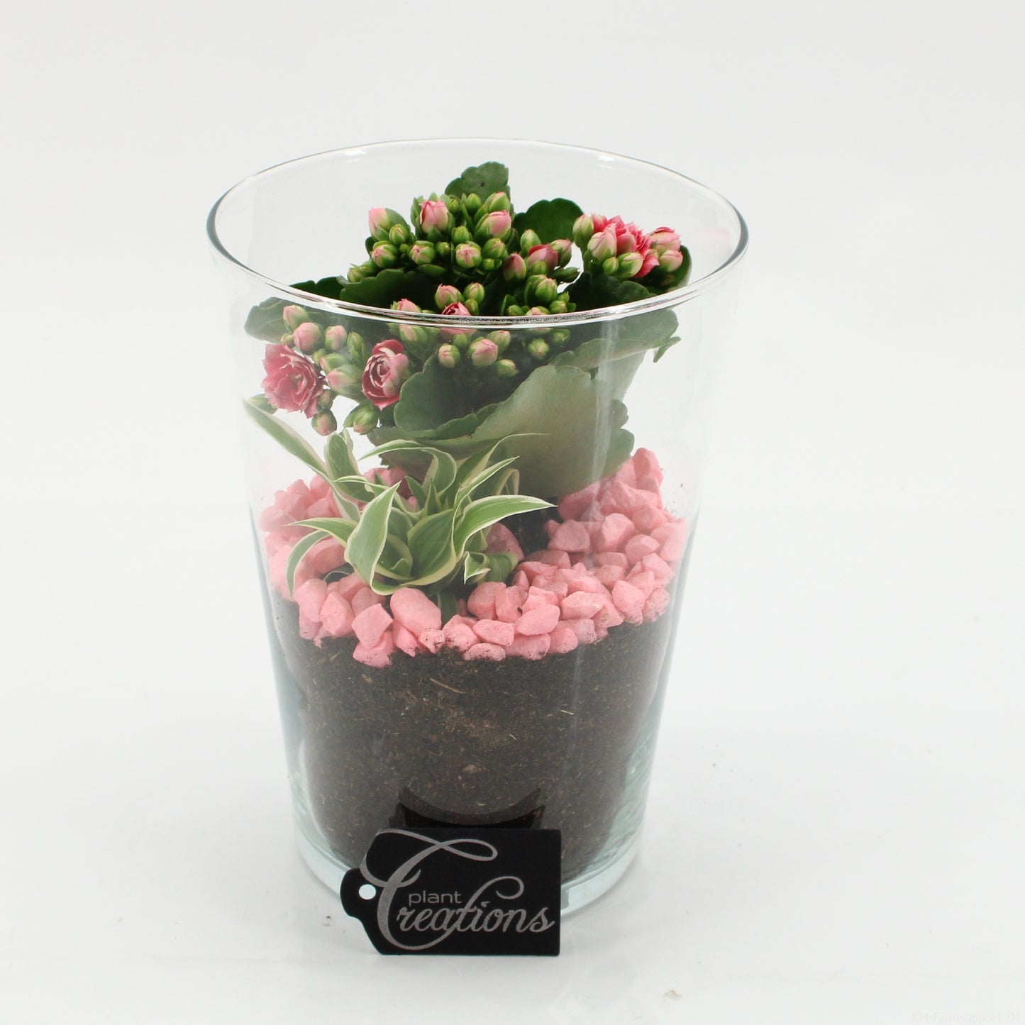 ESCR-2625RZ Essentials 20cm 14cm Pot