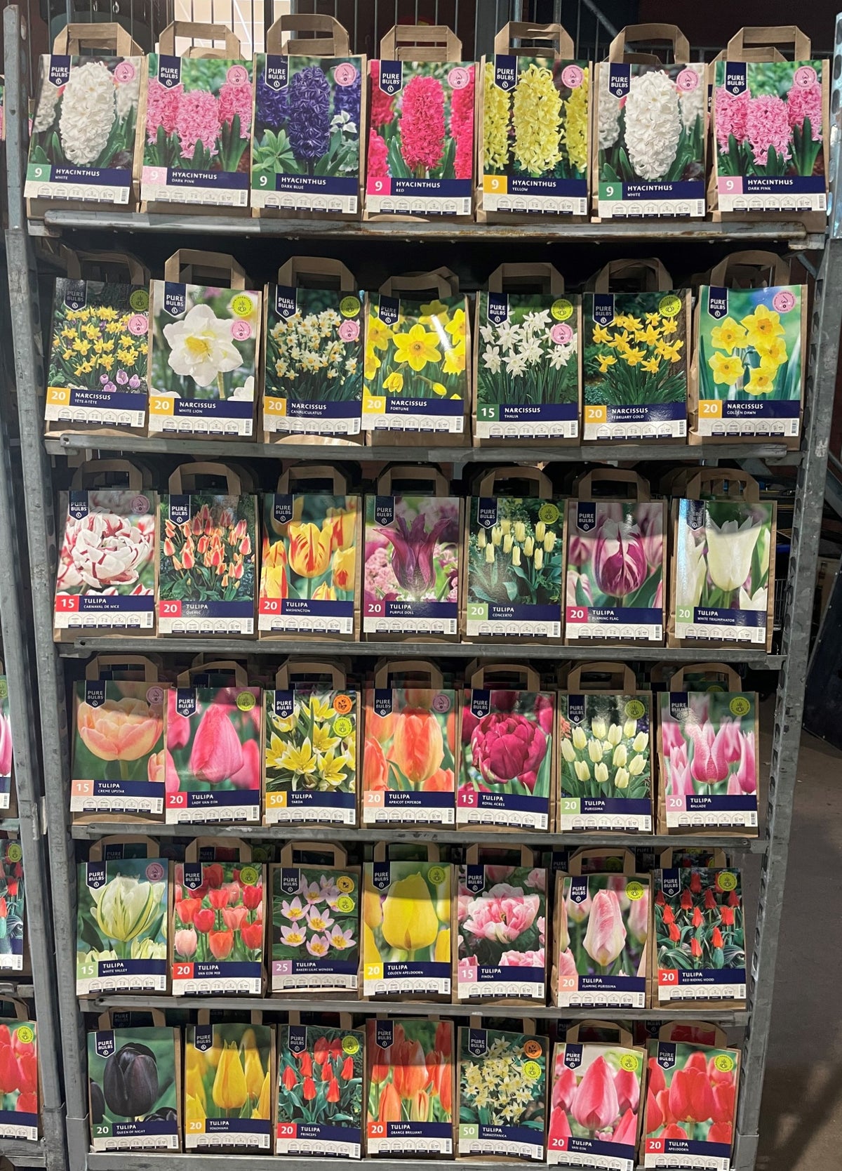 Bulbs