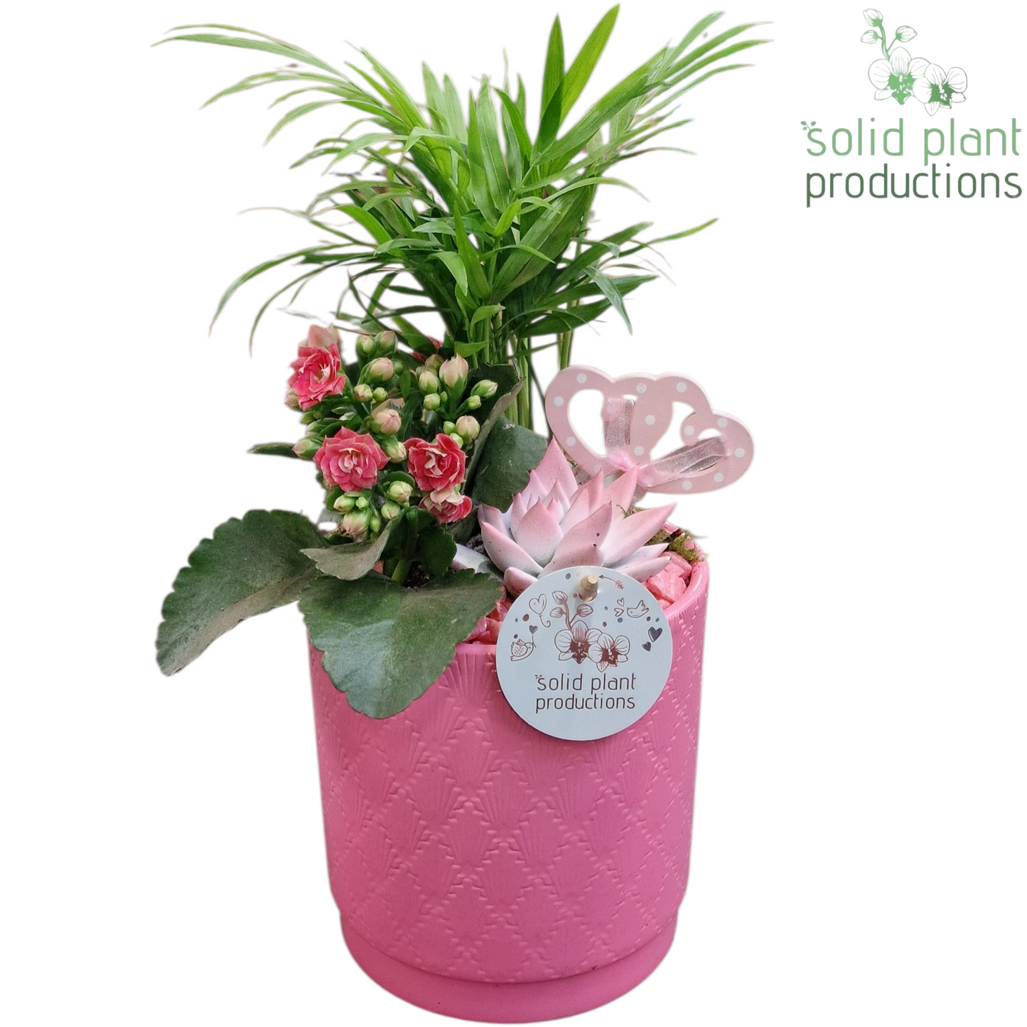 CE001 Amy Pink VM 35cm 13cm Pot