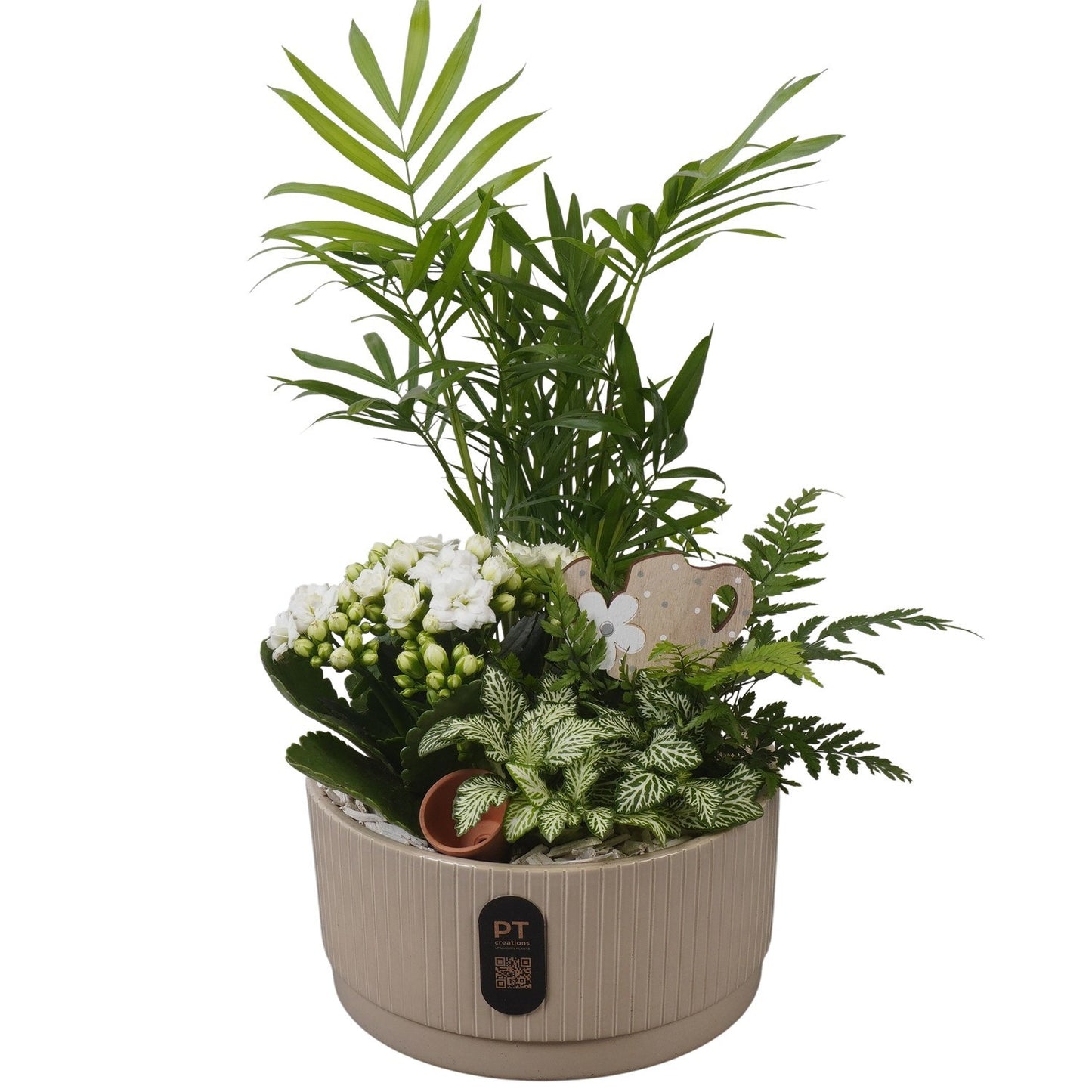 Indoor arrangement 39cm 19cm Pot